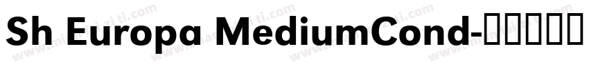 Sh Europa MediumCond字体转换